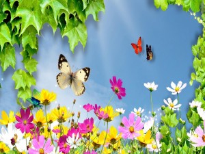Postal: Mariposas volando sobre unas flores silvestres