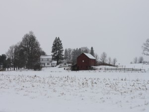 Nieve en una granja