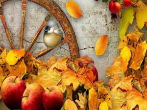 Postal: Pájaro entre hojas y manzanas de otoño