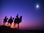Caravana de camellos en el desierto