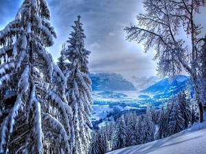 Postal: Paisaje iluminado y cubierto de nieve