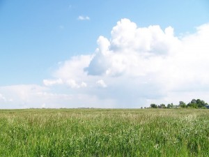 Nubes blancas sobre un prado