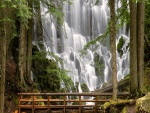 Puente de madera para admirar una maravillosa cascada