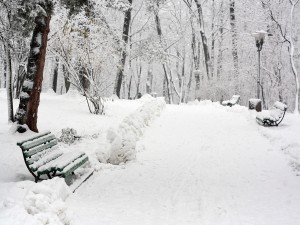 El camino de un parque cubierto de nieve