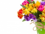 Narcisos, tulipanes y fresias en un recipiente para regalar