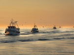 Barcos de pesca al amanecer