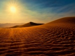 Desierto bajo el sol