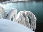 Ramas cubiertas de nieve junto al agua