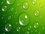 Gotas de agua en un fondo verde