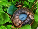 Reloj de cobre sobre unas hojas verdes