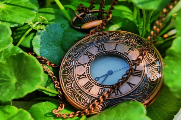 Reloj de cobre sobre unas hojas verdes