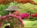 Jardín japonés en primavera