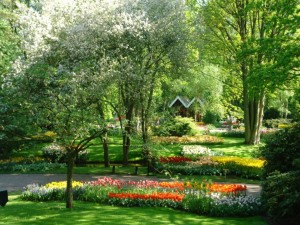 Postal: Jardines de Keukenhof (Holanda)