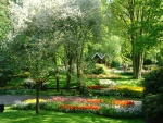 Jardines de Keukenhof (Holanda)