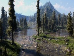 Un río entre pinos y piedras