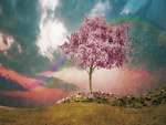 Colores del arcoíris sobre un árbol en flor