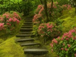 Escaleras en un jardín japonés