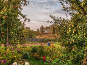 Postal: Un jardín con árboles frutales
