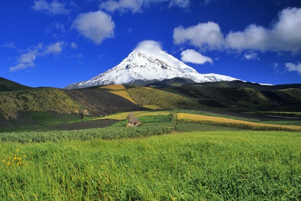 Campos de cultivo a los pies de una montaña