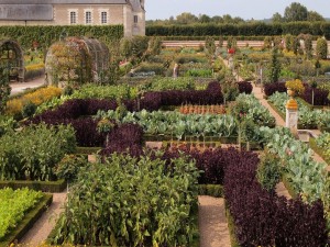 Postal: Espectacular jardín en el Chateau de Villandry