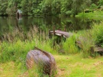 Antiguo muelle de madera sobre el lago