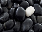 Una piedra blanca entre varias negras