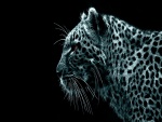 Leopardo digital