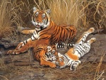 Imagen de una familia de tigres