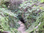 Cueva en el hayedo de la Biescona (Sierra del Sueve, Asturias)