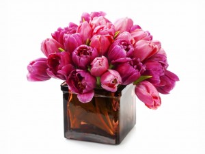 Tulipanes rosas en un florero cuadrado