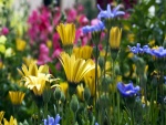 Flores de colores en un jardín