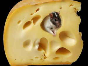 Postal: Ratón en el agujero de un queso