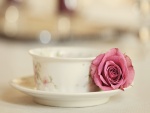 Rosa sobre el plato de una taza de té