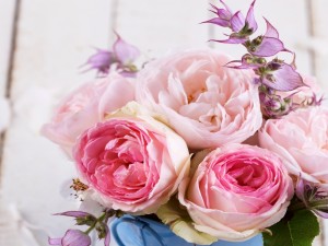 Postal: Bellas rosas rosadas