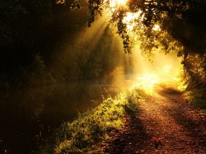 Sol sobre un río y el camino de un bosque
