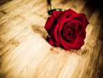 Rosa roja sobre una mesa de madera