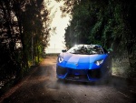 Lamborghini Aventador de color azul