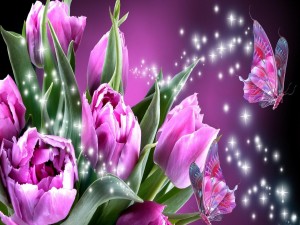 Postal: Mariposas rosadas junto a unos tulipanes