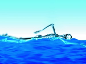 Postal: Esqueleto nadando