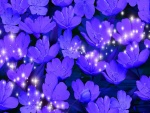Resplandecientes flores color púrpura