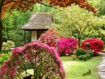 Primavera en un jardín japonés