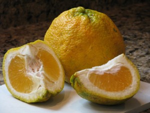 Postal: Hermosos limones