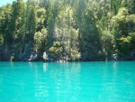 Árboles junto a un lago azul