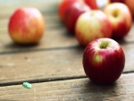 Pequeñas manzanas rojas sobre una mesa de madera