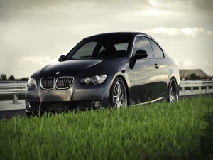 Un BMW 335i junto a la hierba