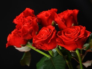 Ramos de rosas rojas