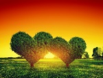 Árboles con forma de corazón
