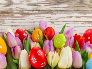 Coloridos huevos de Pascua entre tulipanes