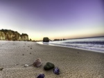 Conchas y piedras sobre la arena de una playa