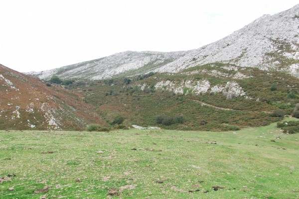 Montañas y prado verde en los Picos de Europa (Asturias)